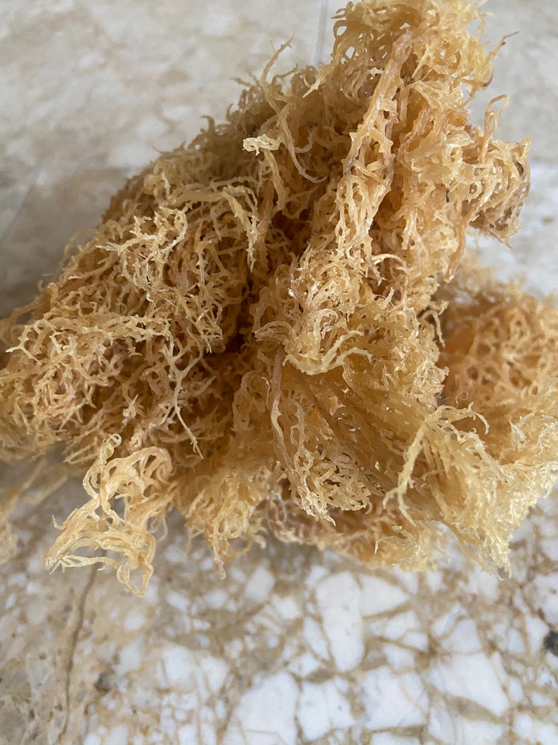 Raw WildCrafted Sea Moss